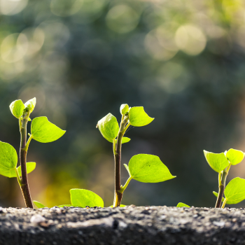 名称未設定のデザイン (3)